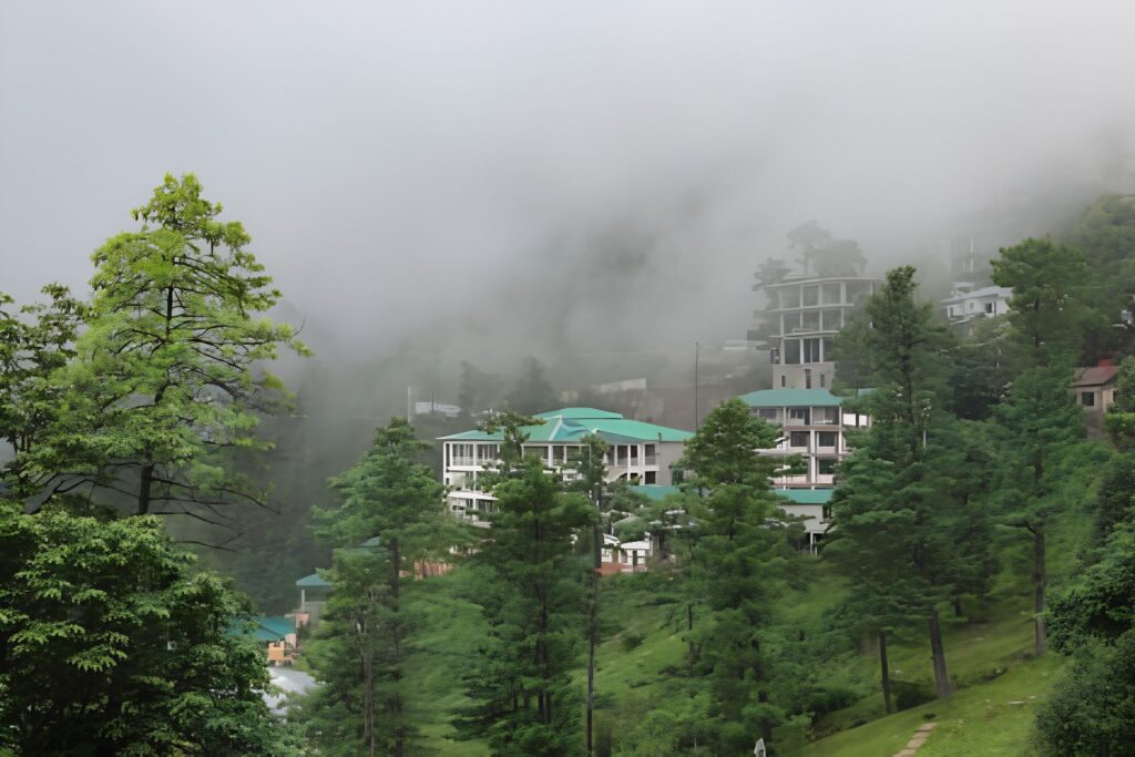 Muree Properties ZH Marketers